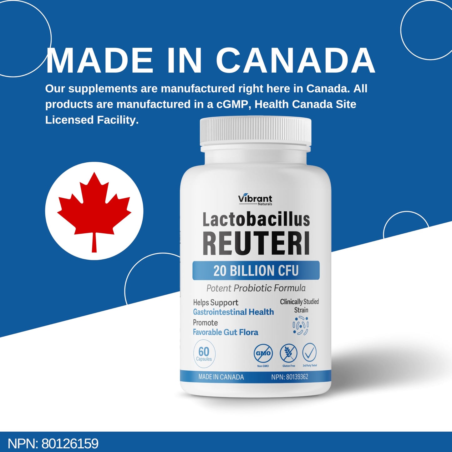 Lactobacillus Reuteri Probiotic 20 Billion CFU - L Reuteri Probiotic - Highest CFU Count, Gut Health, Yogurt Starter Culture, Probiotic With Prebiotic FOS, Made In Canada, 60 Capsules 🍁 All In One Marketplace Canada