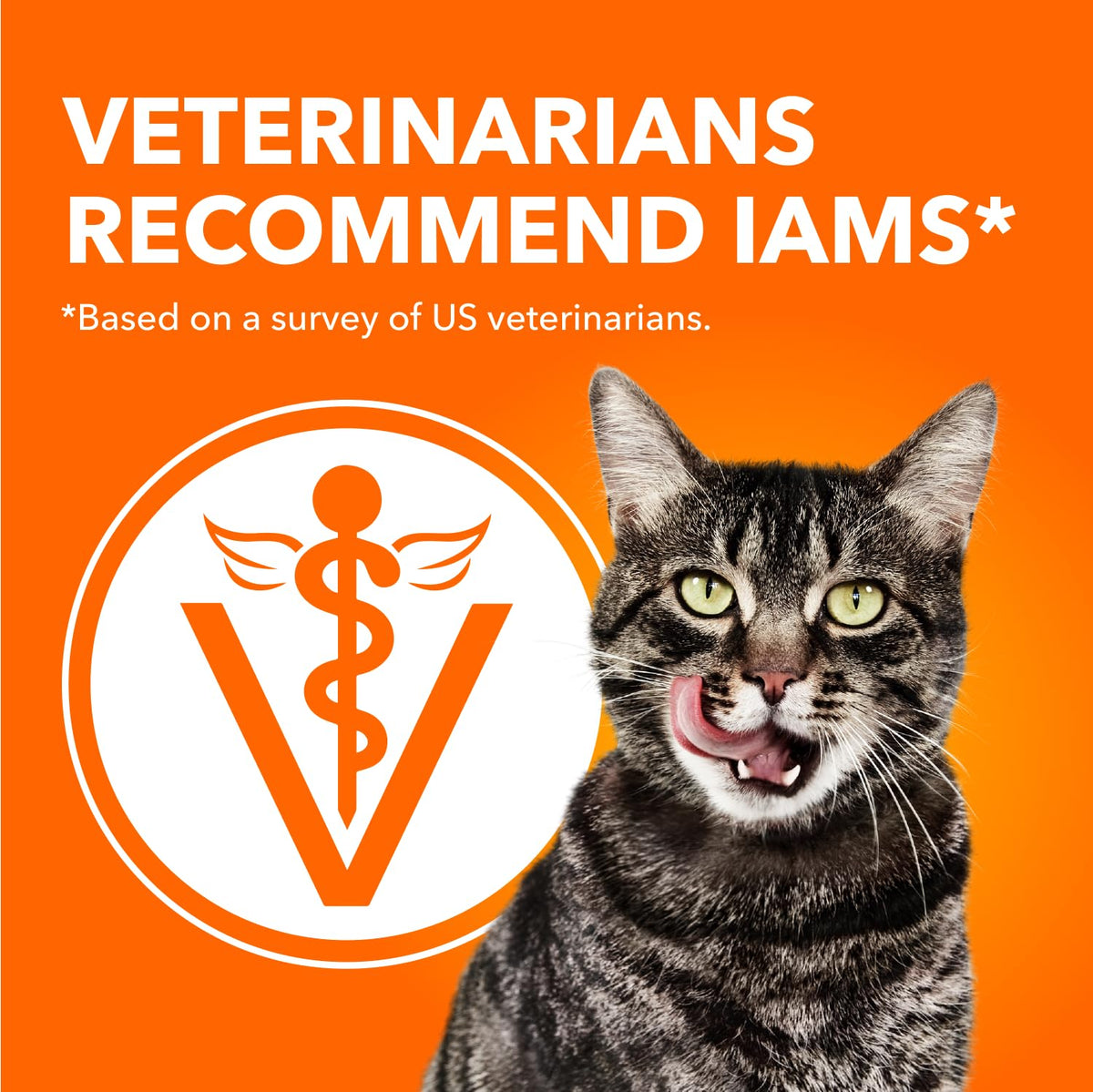 IAMS Perfect Portions Adult Wet Cat Food, Chicken Flavour, 75g (12 Pack) 🍁 All In One Marketplace Canada