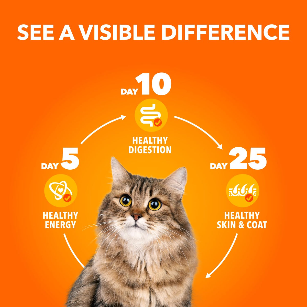 IAMS Perfect PORTIONS Adult Wet Cat Food, Chicken Flavour, 75g (12 Pack) 🍁 All In One Marketplace Canada