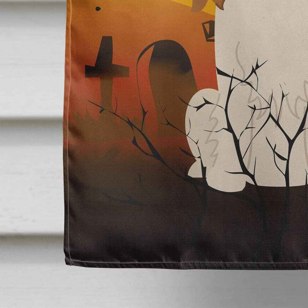 Caroline's Treasures BB4324CHF Halloween Cavalier Spaniel Flag Canvas House Size, Large, Multicolor