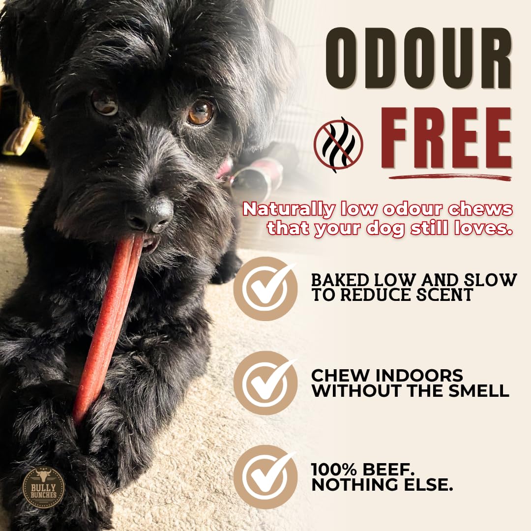 Bully Bunches Premium (6" Standard - 5 Pack) Odour-Free, Consistently Sized Bully Sticks for Small & Medium Dogs & Puppies, Long-Lasting Oral Care Chews, All-Natural Single-Ingredient Beef, No Rawhide 🍁 All In One Marketplace Canada