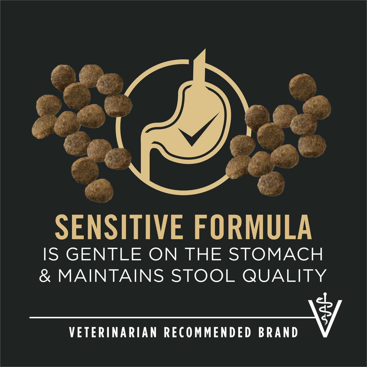 Purina Pro Plan Dry Puppy Food, Development Sensitive Skin & Stomach Salmon & Rice - 7.26 kg Bag (1 Pack) 🍁 All In One Marketplace Canada
