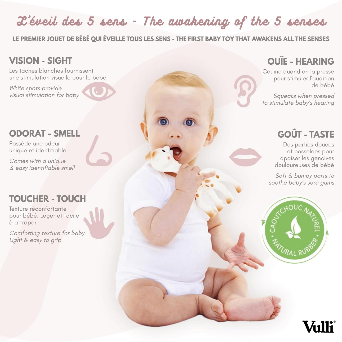 Sophie la Girafe - So Pure Box - Original Baby Teething Toy 100% Natural Rubber - BPA-Free, Non-Toxic, Vegan, Sensory Stimulating Teether for Newborns 0+ Months - 616331 🍁 All In One Marketplace Canada