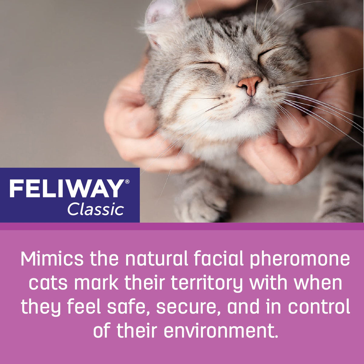 FELIWAY Classic Diffuser Refill, Promotes Calmness in Cats & Kittens, VHP Registered NN.P4B8, includes 1 Refill, Lasts 30 Days, Cat Calming Pheromones, 48ml 🍁 All In One Marketplace Canada