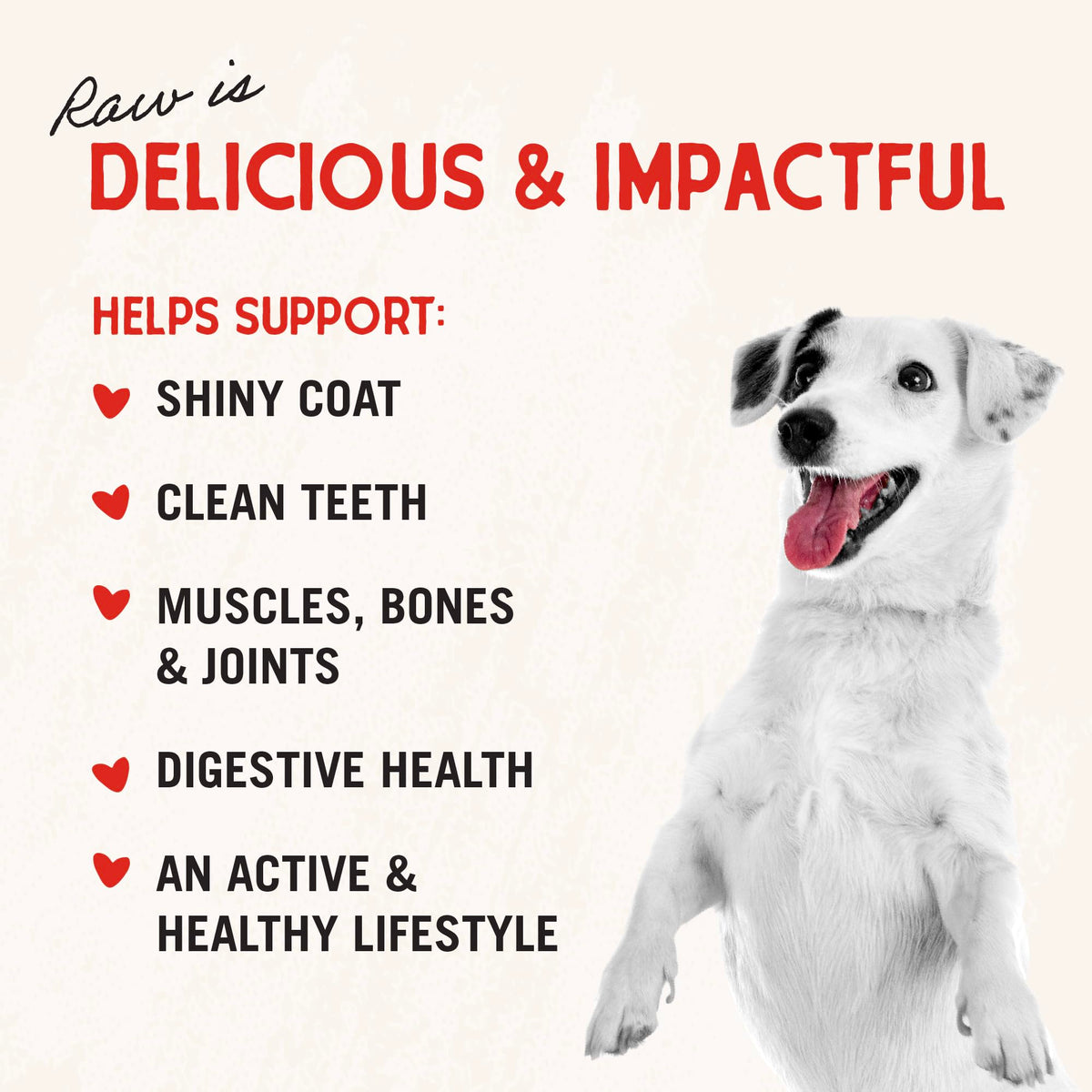Stella & Chewy’s Freeze Dried Raw Super Beef Meal Mixer – Dog Food Topper for Small & Large Breeds – Grain Free, Protein Rich Recipe – 510g Bag 🍁 All In One Marketplace Canada