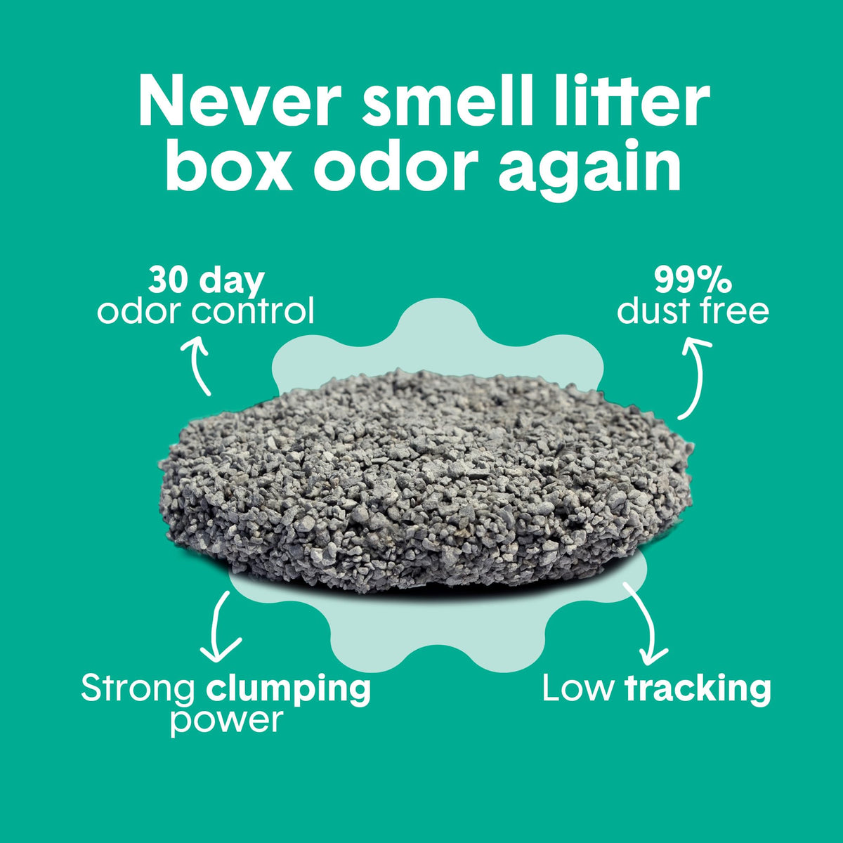 Boxie Premium Gently Scented Cat Litter 30 Day Odor Control Clumping Clay Kitty Litter, 99.9% Dust-Free, No Fillers, 28 lb 🍁 All In One Marketplace Canada