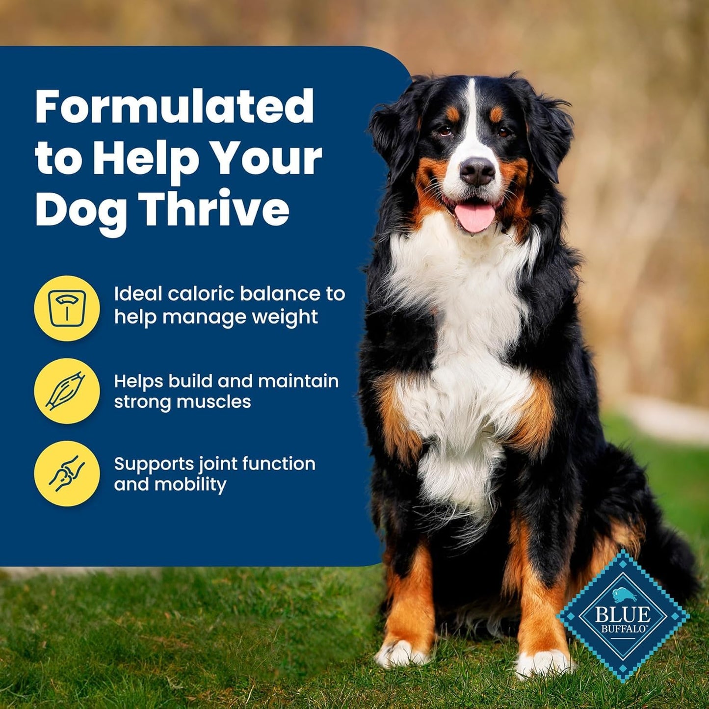 Blue Buffalo Life Protection Formula Healthy Weight Adult Dry Dog Food, Chicken & Brown Rice, Supports Immunity with Antioxidant-Rich LifeSource Bits, Promotes Lean Muscles, 11.7kg/26 lbs 🍁 All In One Marketplace Canada