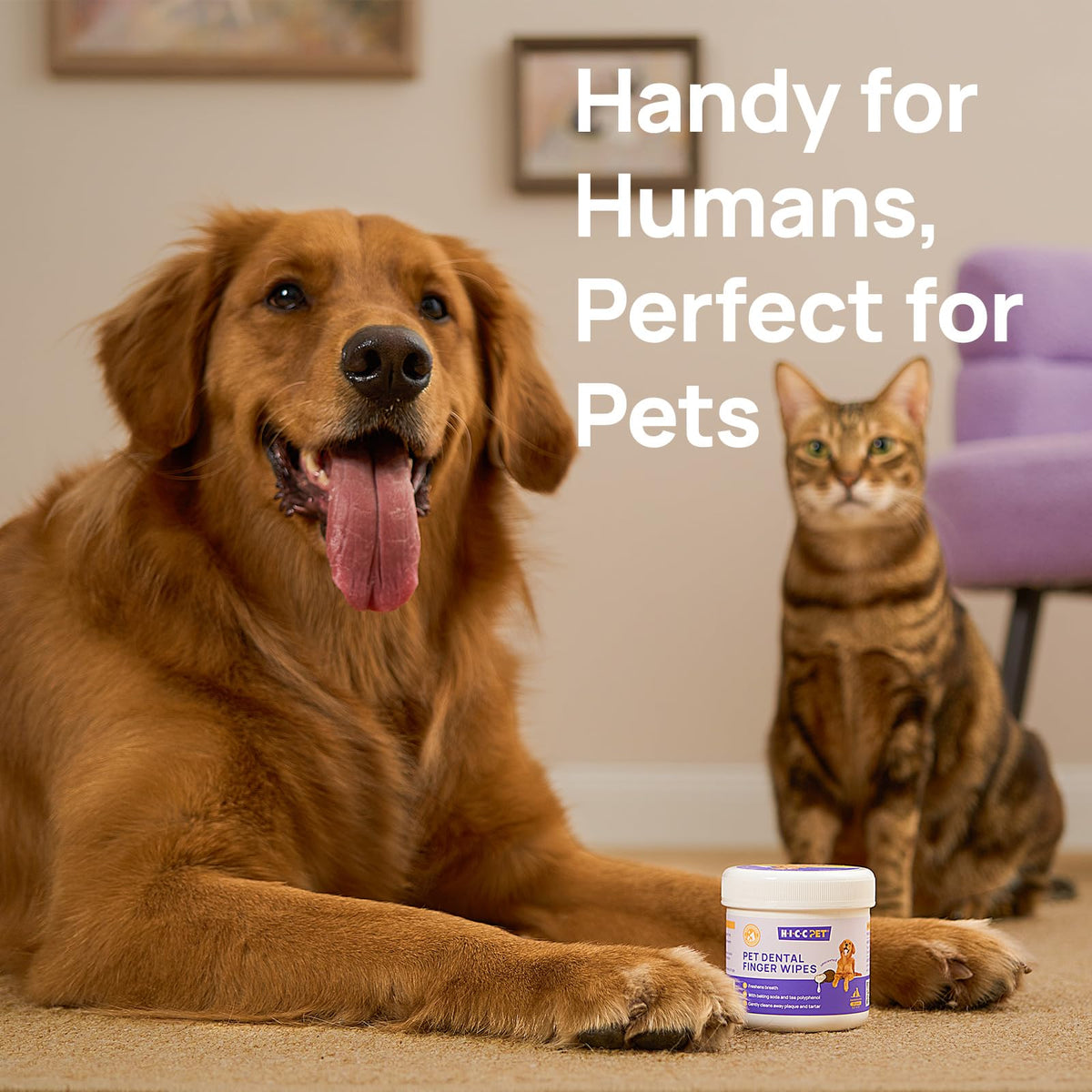 HICC PET Teeth Finger Wipes for Dogs & Cats, Vet-Recommended Teeth Cleaning Wipes, Removes Bad Breath, Plaque & Tartar, Fresh Breath Oral Care, Toothbrush & Toothpaste Alternative, Unscented 🍁 All In One Marketplace Canada
