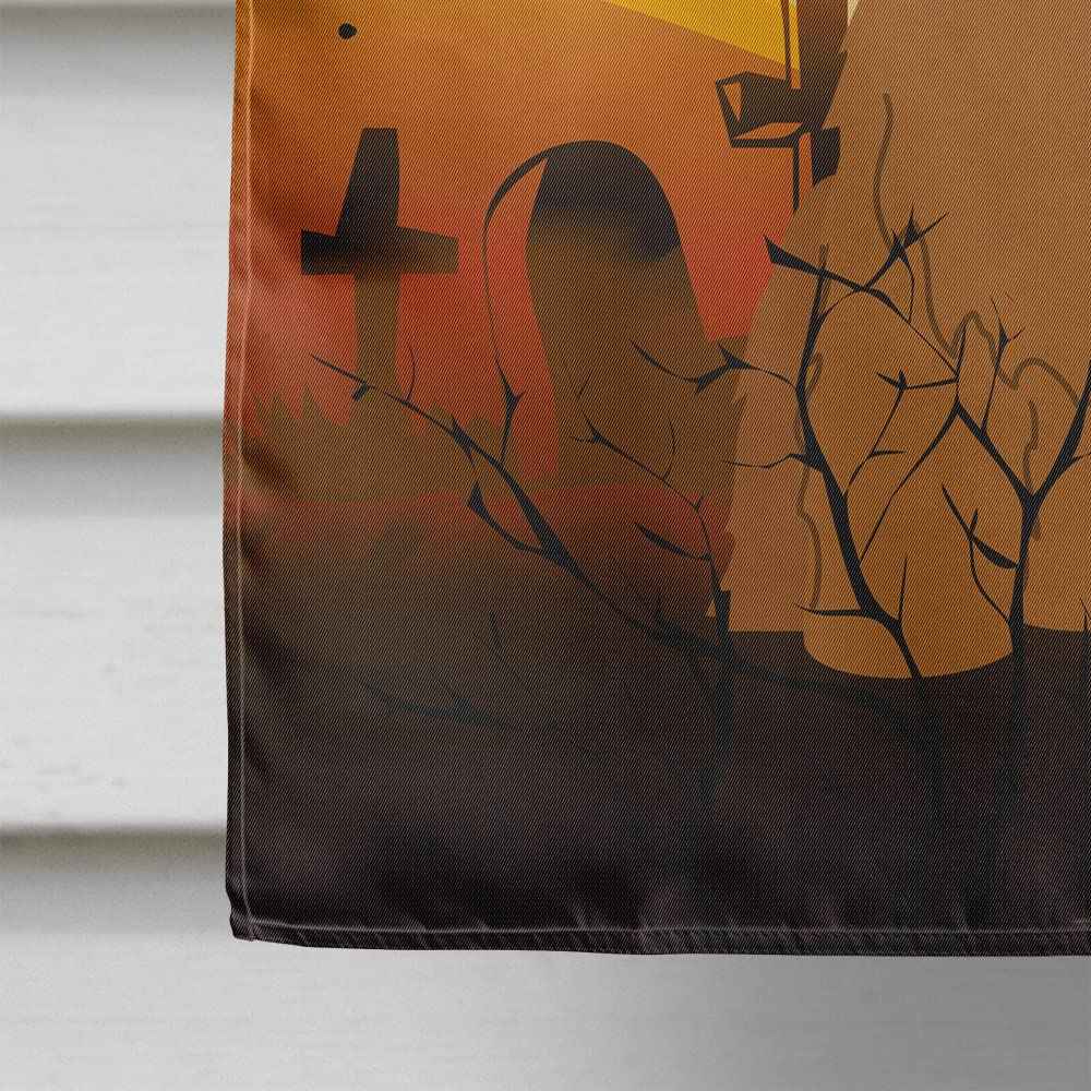 Caroline's Treasures BB4348CHF Halloween Briard Brown Flag Canvas House Size, Large, Multicolor