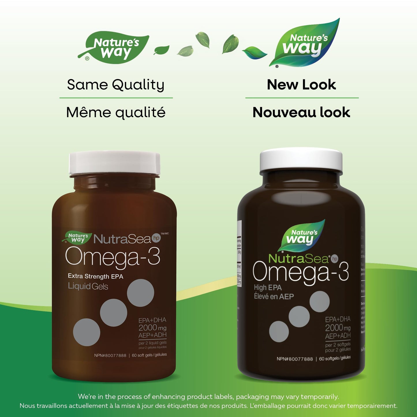 Nature's Way NutraSea HP Omega 3 Extra Strength Supplement with Fish Oil – Fresh Mint Flavour – Heart & Brain Support for Adults and Kids 9+ – 60 Softgels 🍁 All In One Marketplace Canada