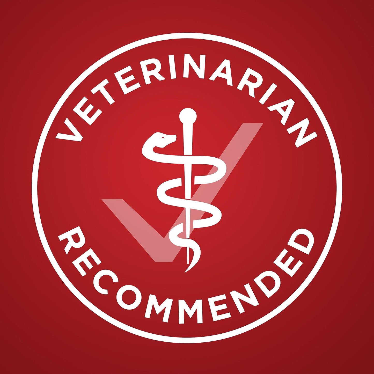 Purina ONE Dry Dog Food, Microbiome Balance with Lamb & Rice 3.63kg 🍁 All In One Marketplace Canada
