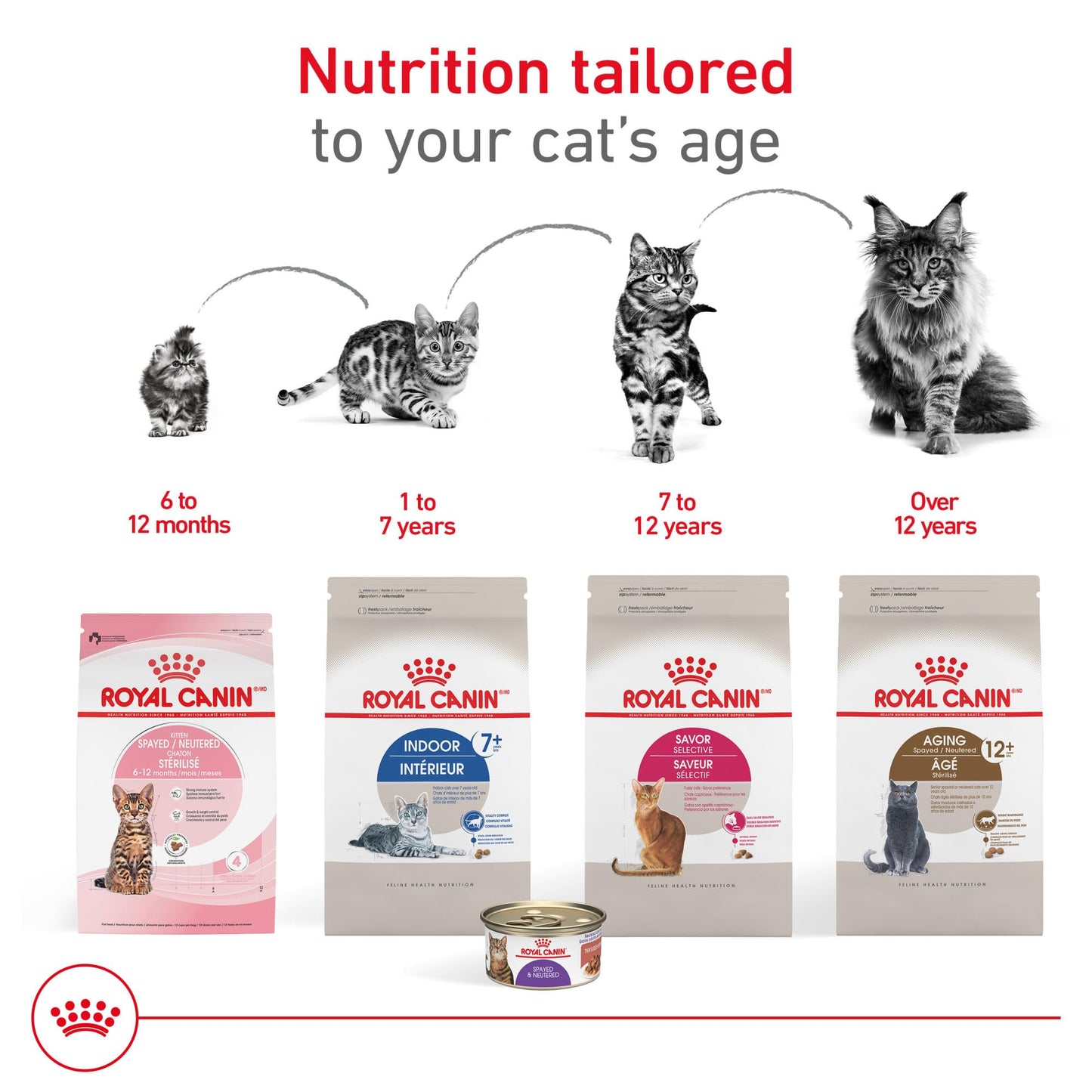 Royal Canin Appetite Control Spayed/Neutered 12+ Dry Adult Cat Food, 7 lb Bag 🍁 All In One Marketplace Canada
