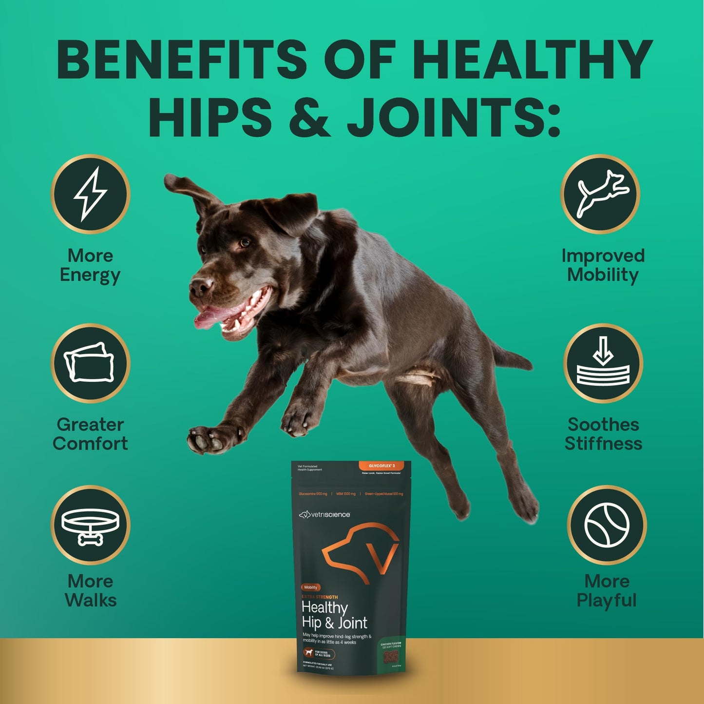 VETRISCIENCE Glycoflex Clinically Proven Hip and Joint Supplement with Glucosamine for Dogs, Chicken, 60 Chews - Vet Recommended Mobility Support Supplement with DMG, MSM, and Perna 🍁 All In One Marketplace Canada