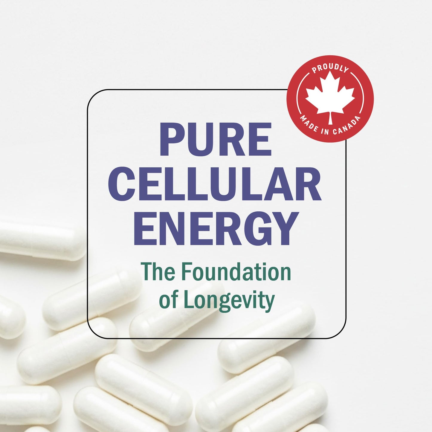 NMN Supplement 1200mg | Extra Strength | NAD+ Precursor for Healthy Aging, Cellular Energy & Longevity Support | 99% Purity | NMN Supplement Canada Made, Third-Party Tested & Vegan | 60 Capsules 🍁 All In One Marketplace Canada