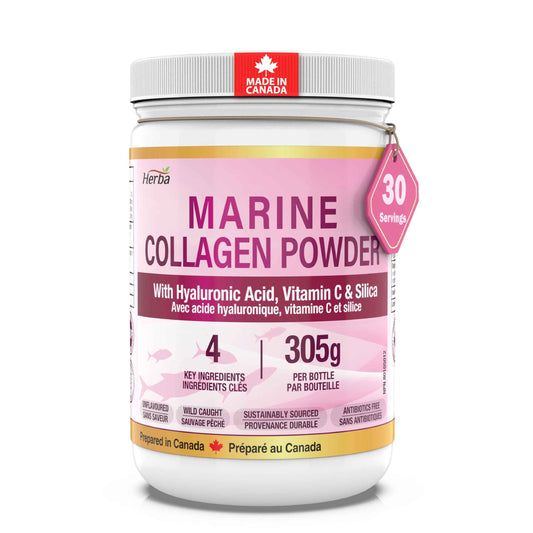 Herba Marine Collagen Powder for Women & Men with Hyaluronic Acid, Vitamin C, and Silica – 305g | Made in Canada | Wild Caught | Hydrolyzed Collagen Peptides | Antibiotics Free | Sustainably Sourced 🍁 All In One Marketplace Canada