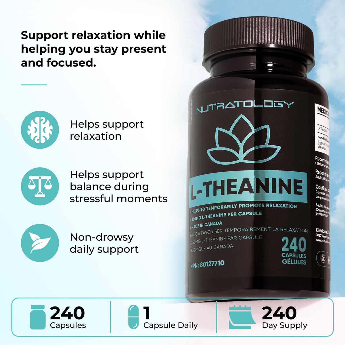 Nutratology® L-Theanine 250MG Capsules | Canadian-Made | For Stress Management | Promotes Relaxation & Calmness Without Drowsiness - L-Theanine Supplement for Stress Relief | 240 Capsules 🍁 All In One Marketplace Canada