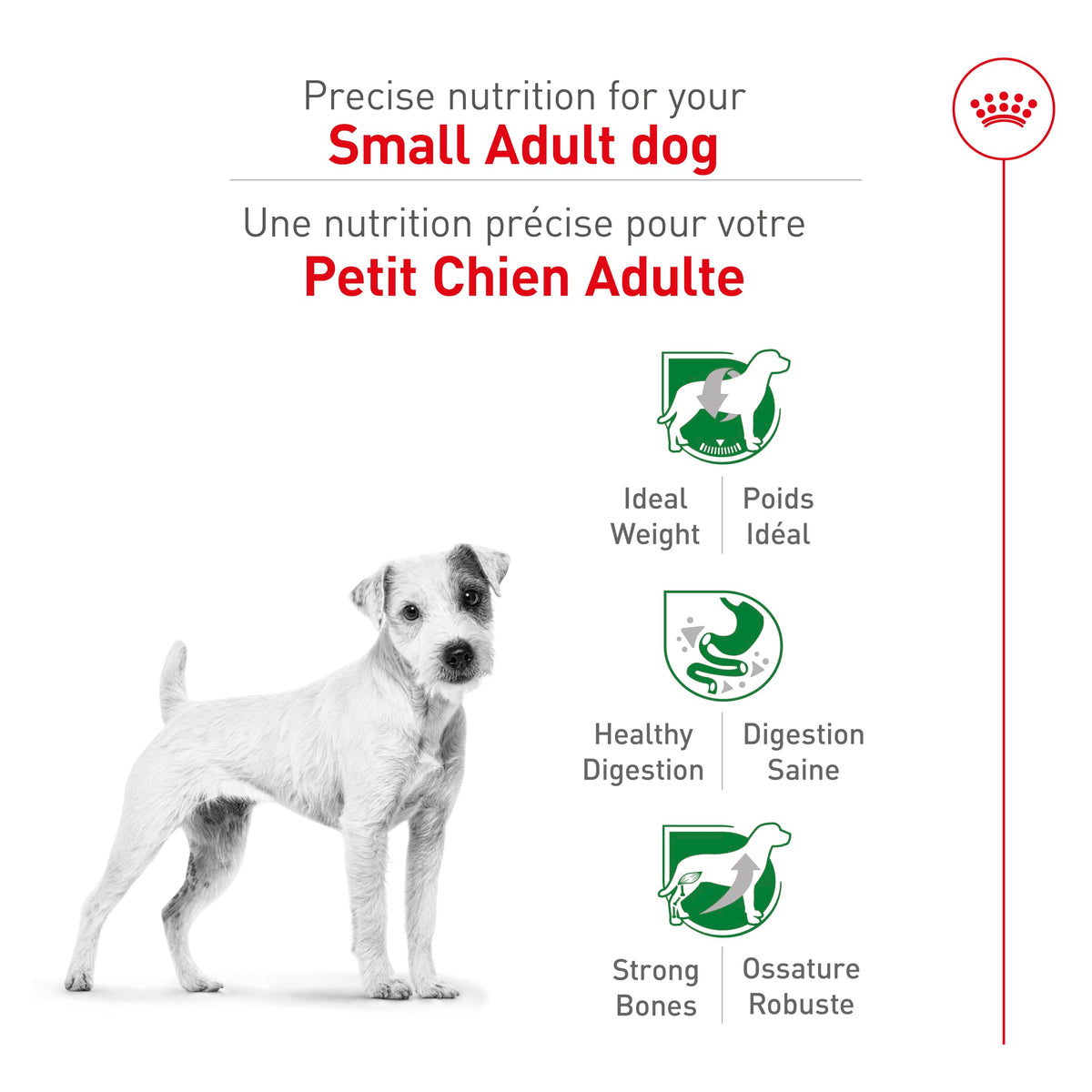 Royal Canin Small Breed Adult Dry Dog Food, 4.4 lb Bag 🍁 All In One Marketplace Canada