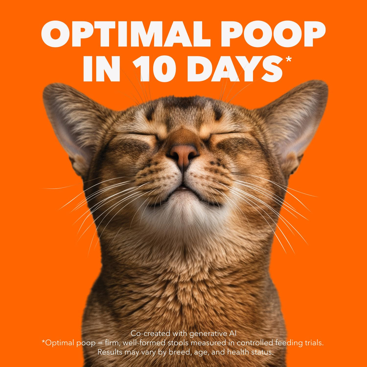 IAMS Proactive Health Sensitive Digestion & Skin Adult Dry Cat Food – Turkey – 2.72KG (5.9LB) Bag 🍁 All In One Marketplace Canada