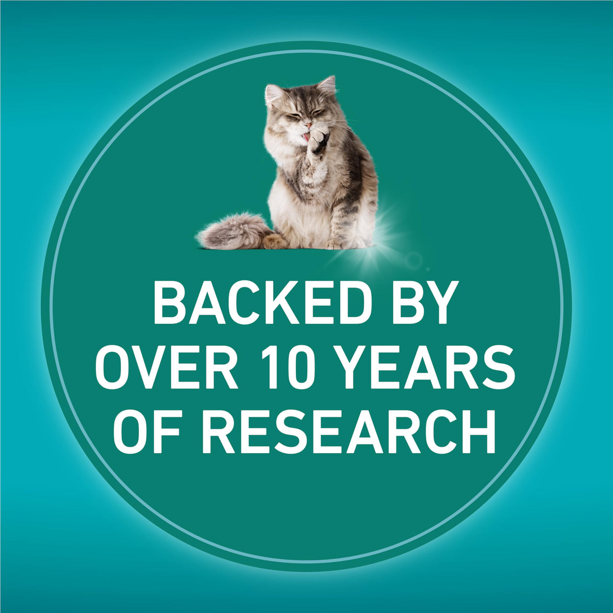 Purina ONE LiveClear Dry Cat Food, Allergen Reducing with Chicken 2.86kg 🍁 All In One Marketplace Canada