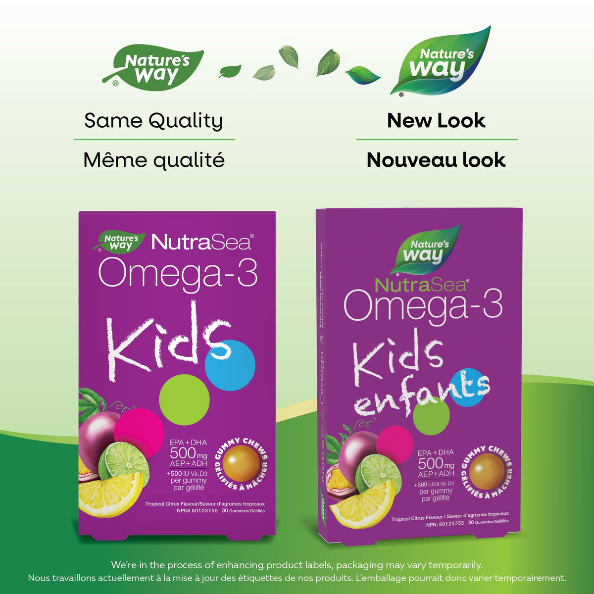 Nature's Way NutraSea Omega 3 Kids Gummy Chews Supplement with Fish Oil – Tropical Citrus Flavour – Brain, Bone & Immune Support for Kids Ages 3+ – 500mg EPA & DHA + 500IU Vitamin D3, 30 Gummies 🍁 All In One Marketplace Canada