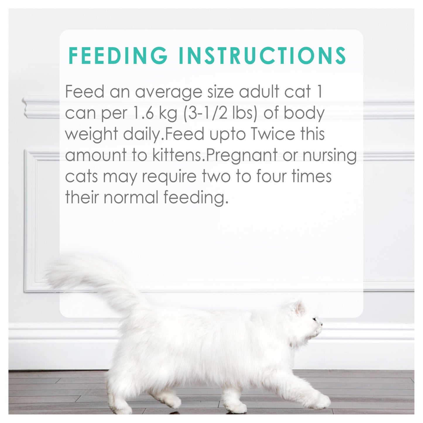 Fancy Feast Wet Cat Food, Pate Salmon & Shrimp Feast - 85 g Can (24 Pack) 🍁 All In One Marketplace Canada