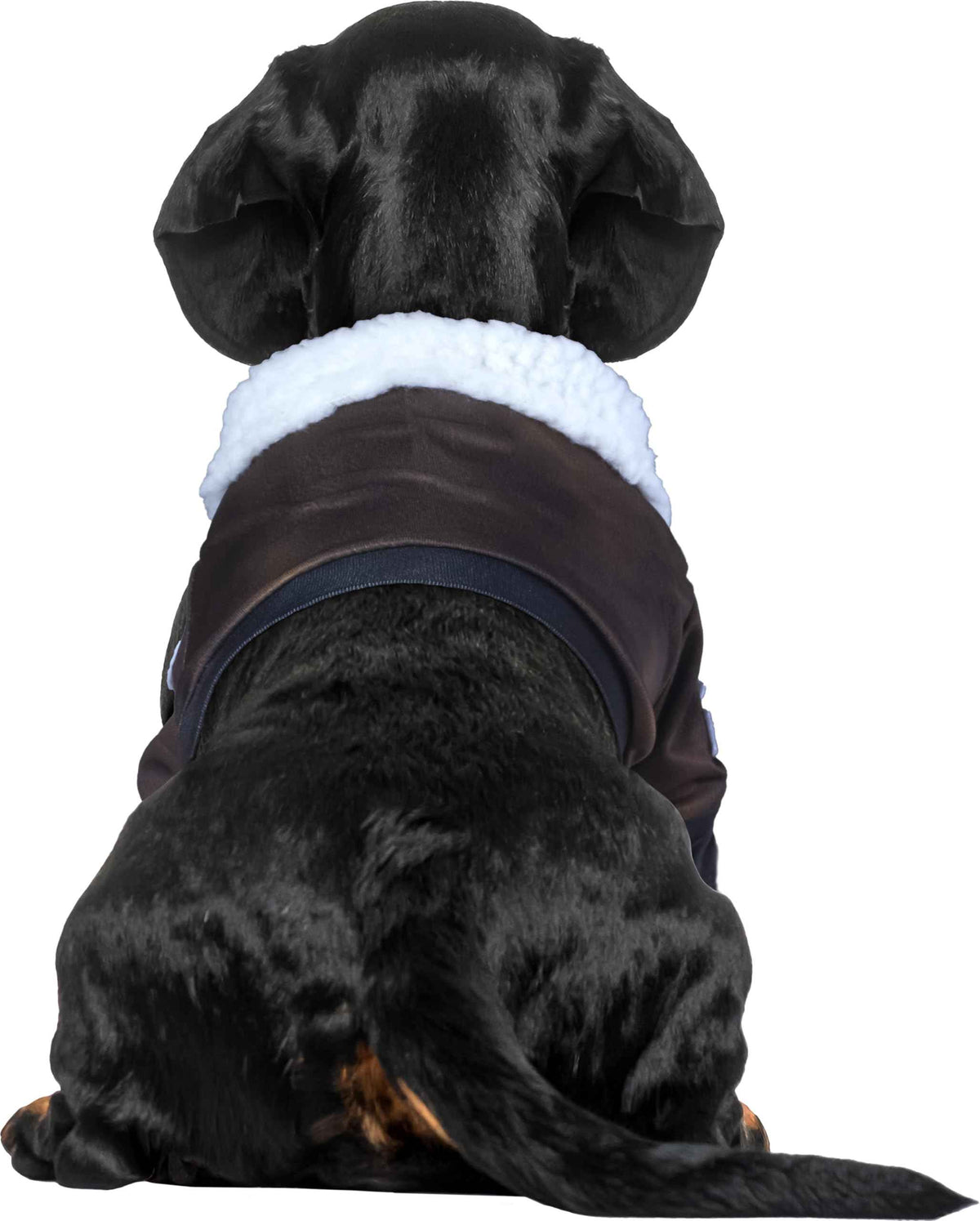 Rubies Top Gun Classic Movie Pet Costume, X-Large for Themed Parties and Halloween
