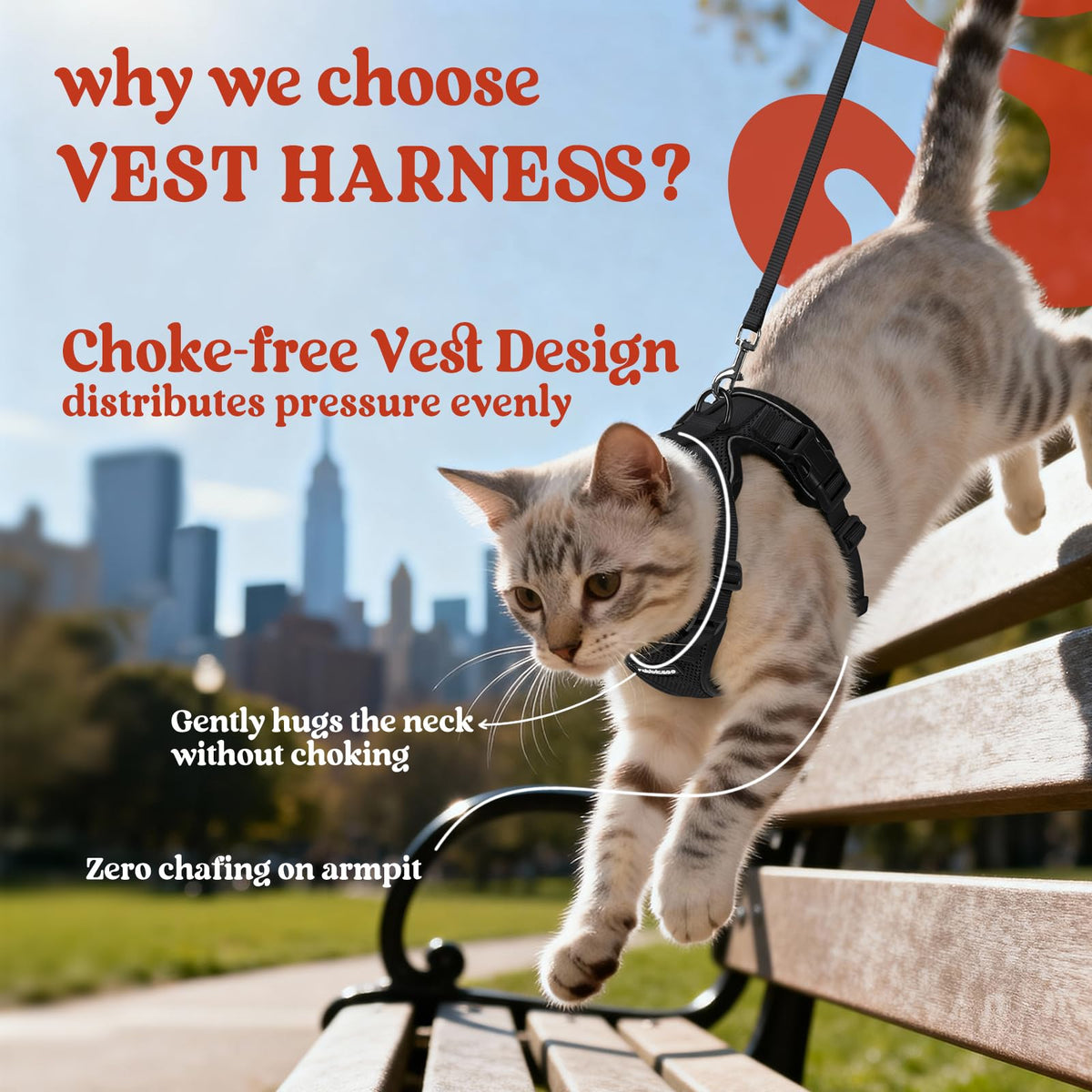 rabbitgoo Cat Harness and Leash for Walking, Escape Proof Soft Adjustable Vest Harnesses for Small Medium Cats, Easy Control Breathable Reflective Strips Jacket, XS, Black 🍁 All In One Marketplace Canada