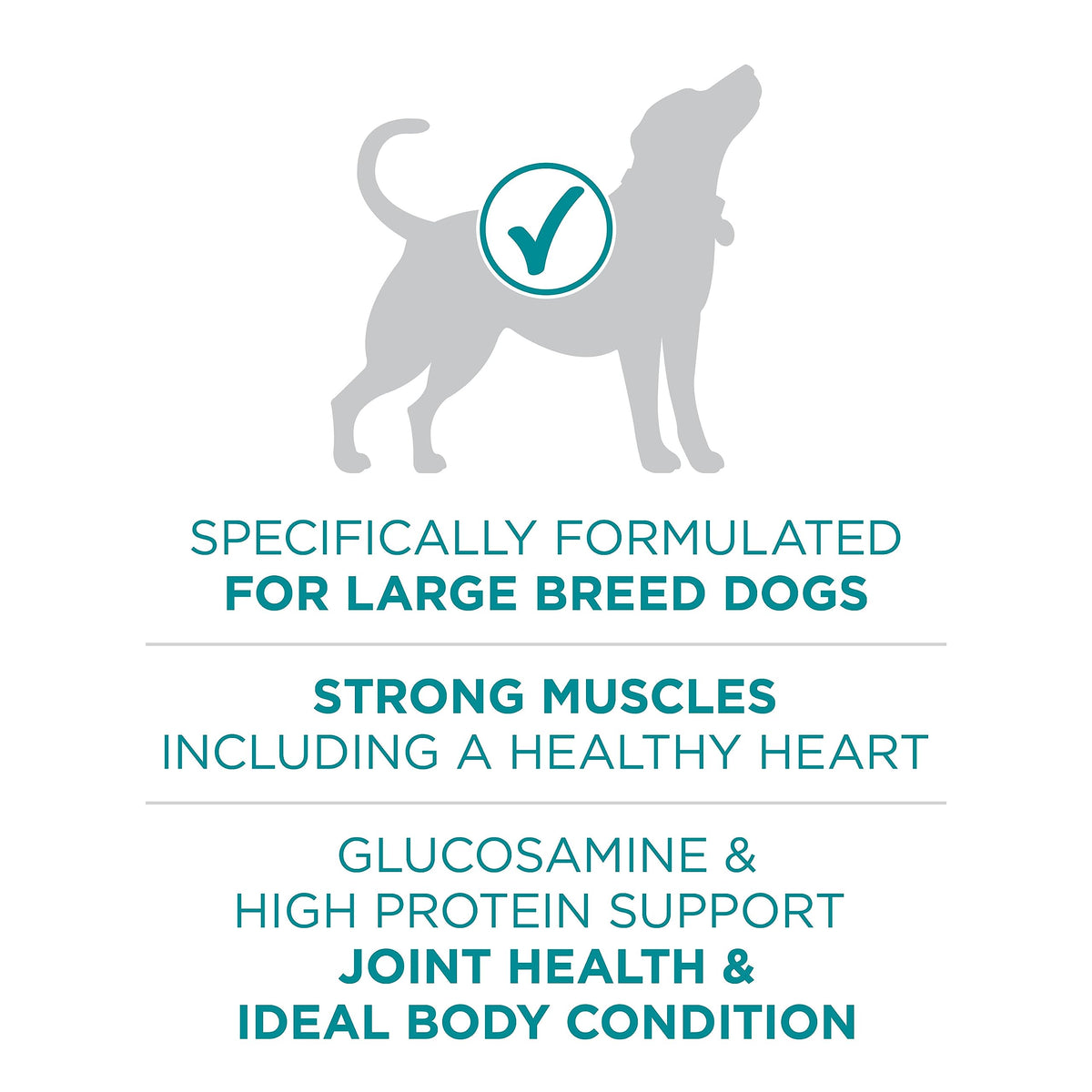 Purina ONE Dry Dog Food, +Plus Large Breed with Chicken - 7 kg Bag (1 Pack) 🍁 All In One Marketplace Canada