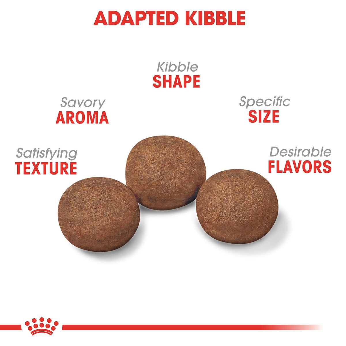 Royal Canin Size Health Nutrition Medium Puppy Dry Dog Food, 4 lb 🍁 All In One Marketplace Canada