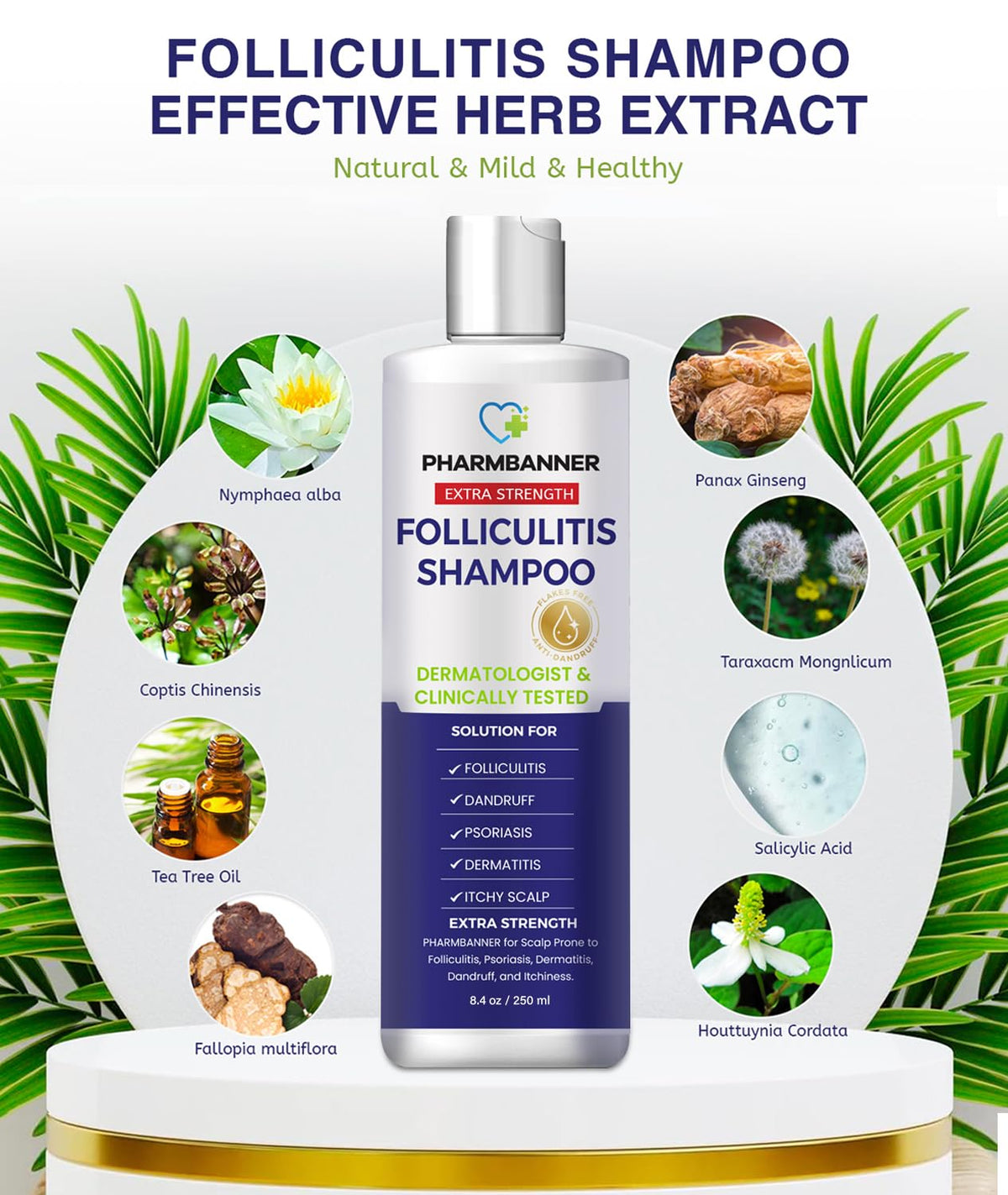 Folliculitis & Seborrheic Dermatitis Shampoo – Anti-Dandruff Scalp Care for Itchy, Flaky, Dry Scalp, Helps Relieve Irritation & Discomfort 🍁 All In One Marketplace Canada