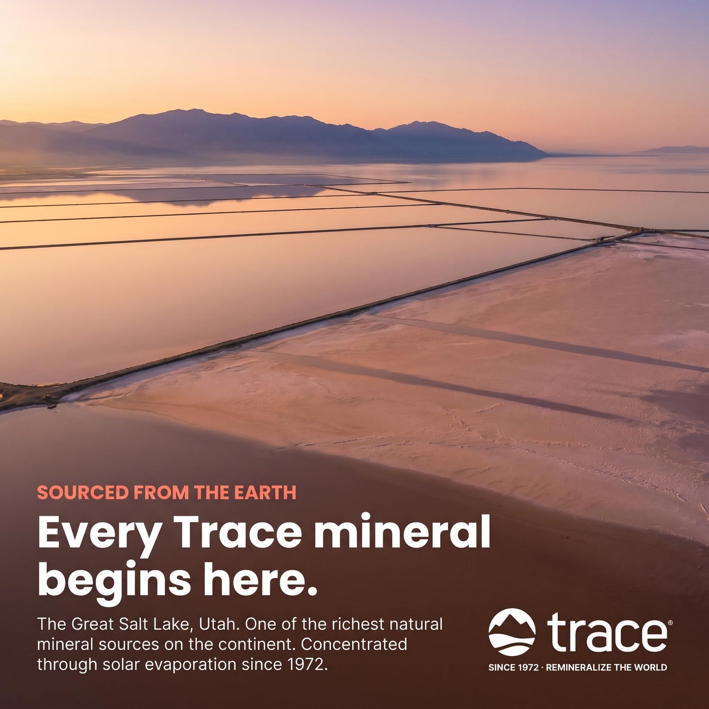 Trace Minerals ConcenTrace Drops - 240 ml, 96 Day Supply, Unflavored - Full Spectrum Minerals - Ionic Liquid Magnesium, Chloride & Potassium Electrolytes - Low Sodium Hydration 🍁 All In One Marketplace Canada