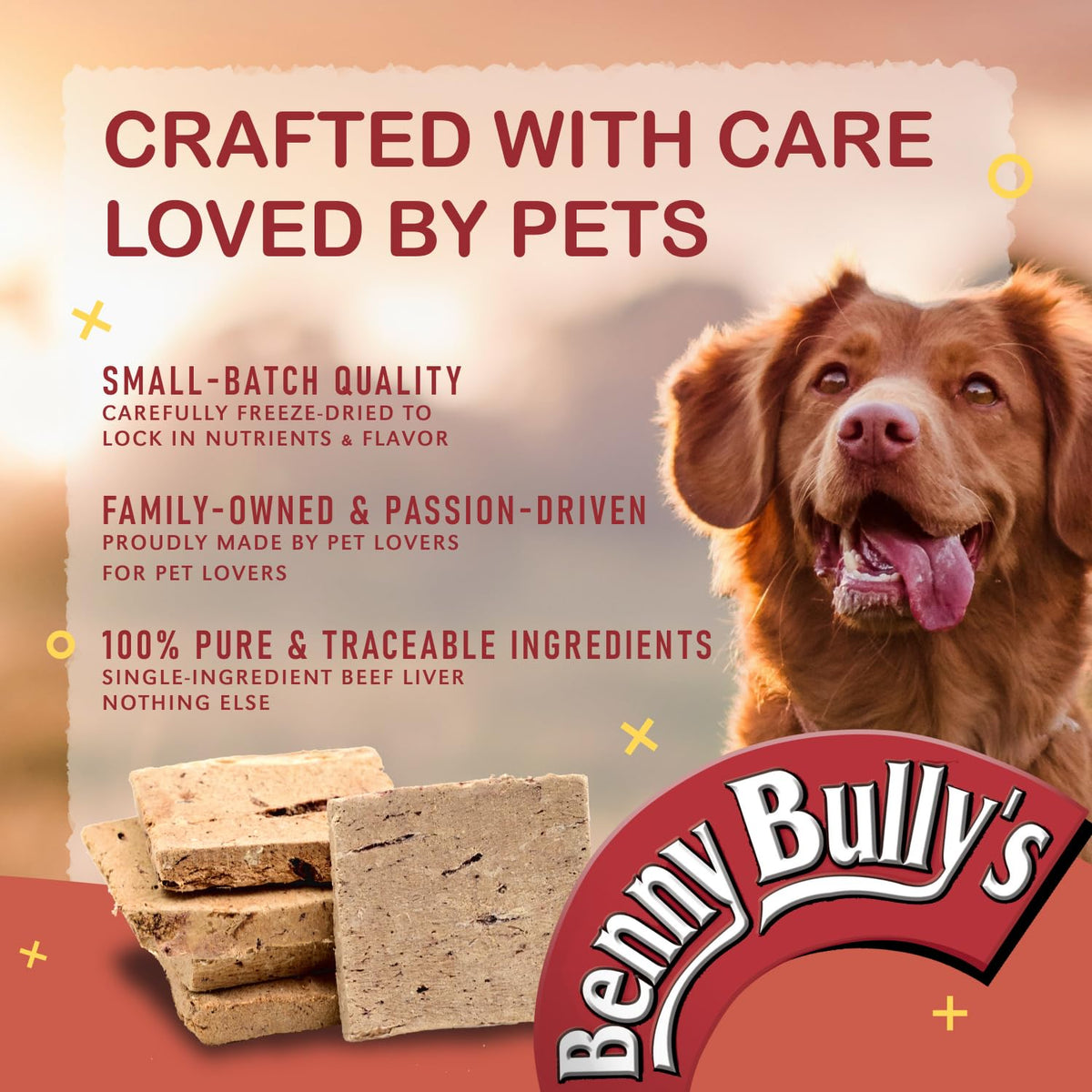 Benny BULLYS Chops Beef Liver Dog Treats, Freeze-Dried, Low Fat, High Energy & Nutrient Rich Food for Your Furry Friend, All Natural Ingredients 2X Small Bites- 520g/ 18.3oz 🍁 All In One Marketplace Canada