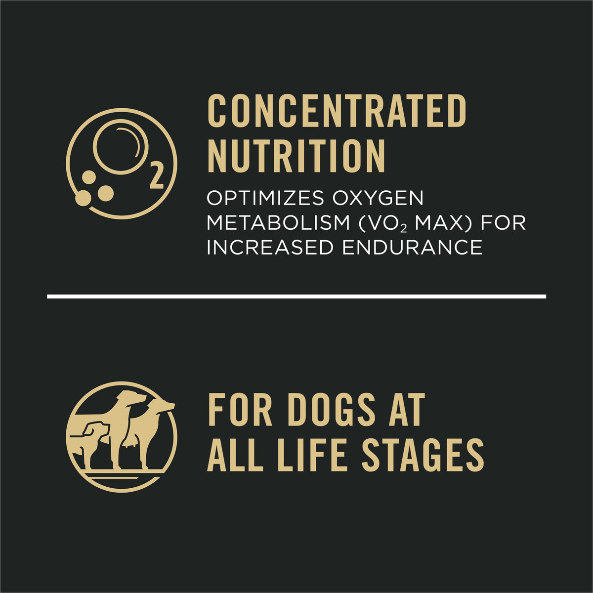 Purina Pro Plan Dry Dog Food, Sport, Performance 30/20 Salmon and Rice Formula, 33-Pound Bag, Pack of 1 🍁 All In One Marketplace Canada