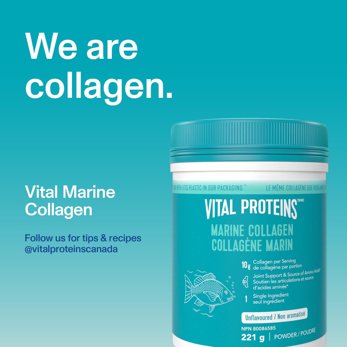 VITAL PROTEINS Marine Collagen Peptides Powder, Helps Form Collagen And Reduce Joint Pain Associated With Osteoarthritis, Source Of Amino Acids, No Added Sugar, No Artificial Colours Or Flavours, 221 g 🍁 All In One Marketplace Canada