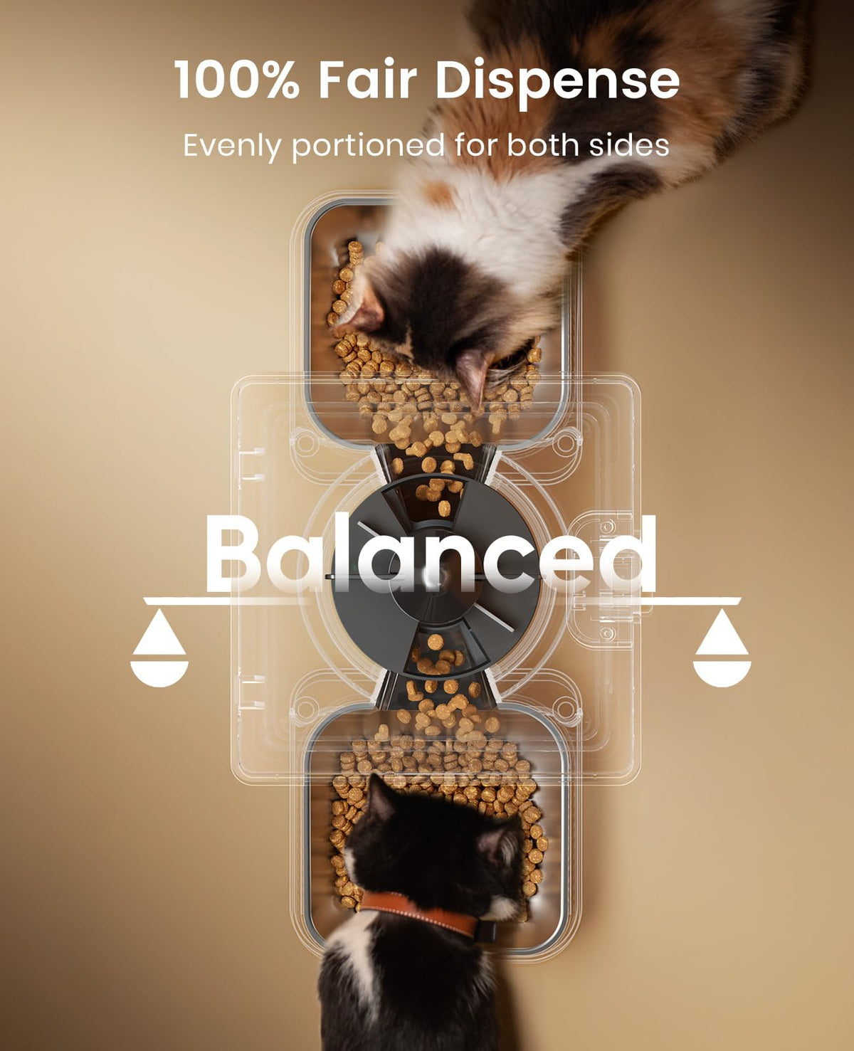 oneisall Automatic Cat Feeder for 2 Cats, 20 Cups/5L Automatic Cat Food Dispenser for Small Pets Indoor, Timed Cat Feeder for Dry Food 🍁 All In One Marketplace Canada