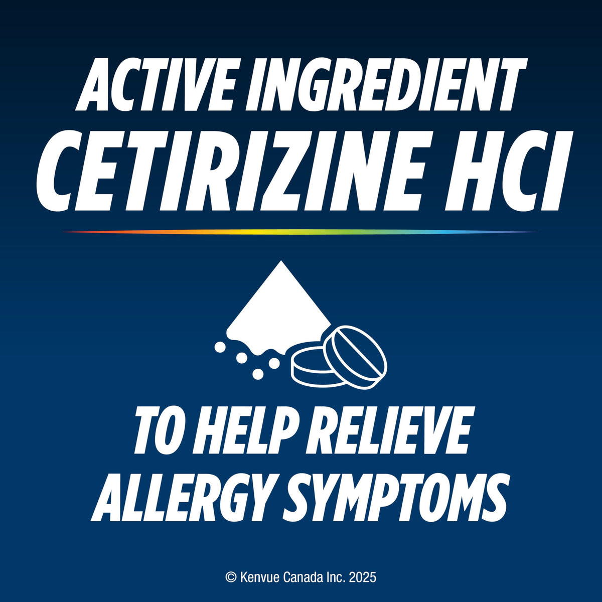 Reactine Extra Strength Antihistamine Tablets - 10mg Cetirizine Hydrochloride - 24 Hour Allergy Relief Medicine - 48 Count MADE IN CANADA 🍁 All In One Marketplace Canada