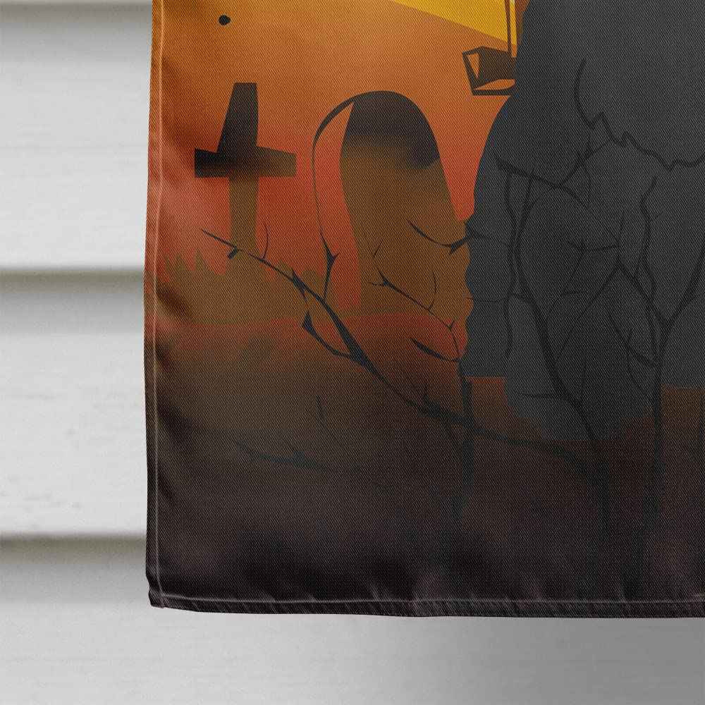 Caroline's Treasures BB4340CHF Halloween Bouvier des Flandres Flag Canvas House Size, Large, Multicolor