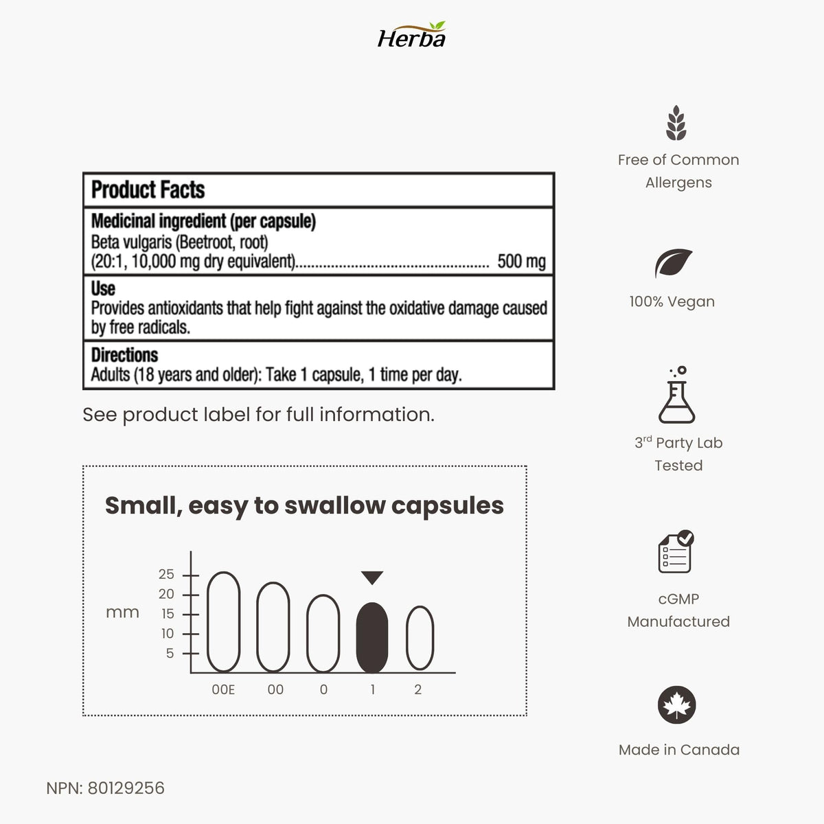Herba 10,000mg Organic BeetRoot Capsules – 180 Count | 20:1 Beet Root Powder in Capsule | Nitric Oxide Supplements for Men & Women | Made in Canada 🍁 All In One Marketplace Canada
