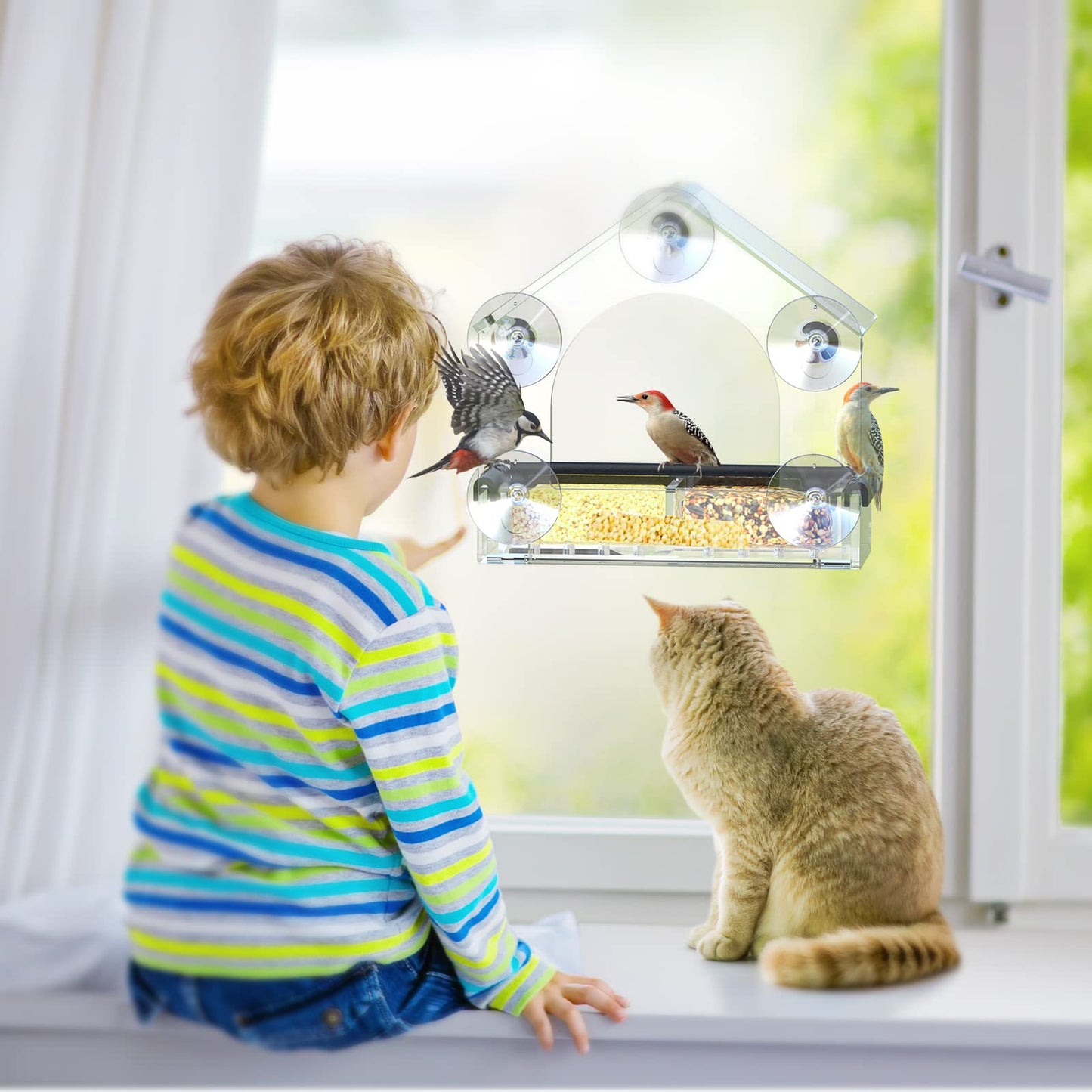 Clear Window Bird Feeder with 5 Extra Strong Suction Cups, DY-SKTY Sturdy and Durable Acrylic Birdfeeders for Viewing Wild Birds Outside, as a Bird Watching Gift, Outdoor Birdhouse Box, Garden Decor 🍁 All In One Marketplace Canada