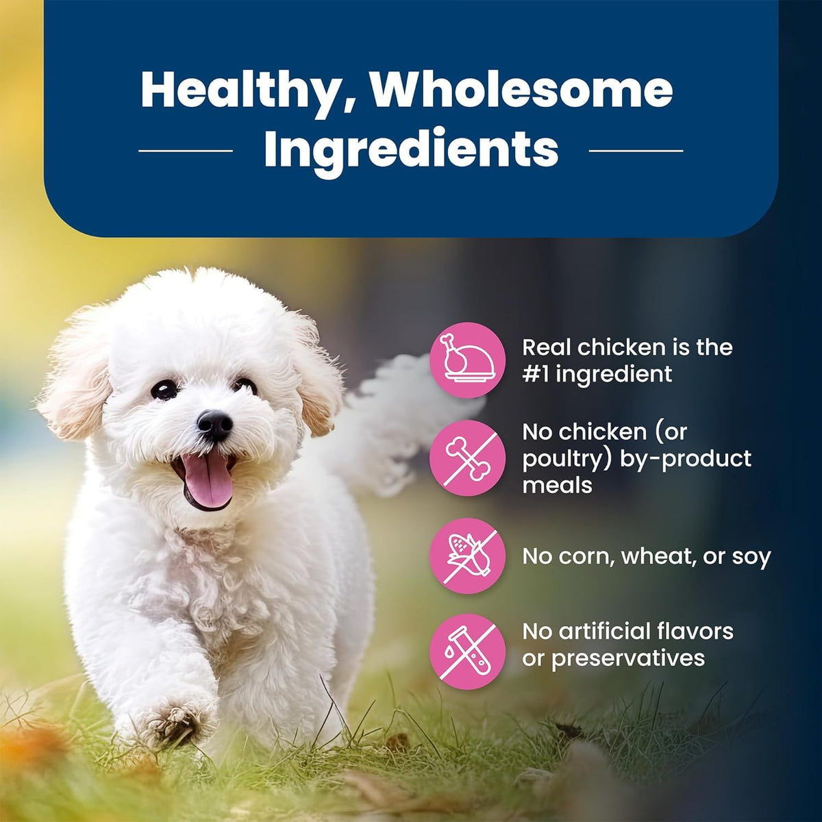 Blue Buffalo Life Protection Formula Small Breed Dog Food Natural Dry Dog Food for Adult Dog Chicken and Brown Rice 6 lb. Bag Small Bag 🍁 All In One Marketplace Canada