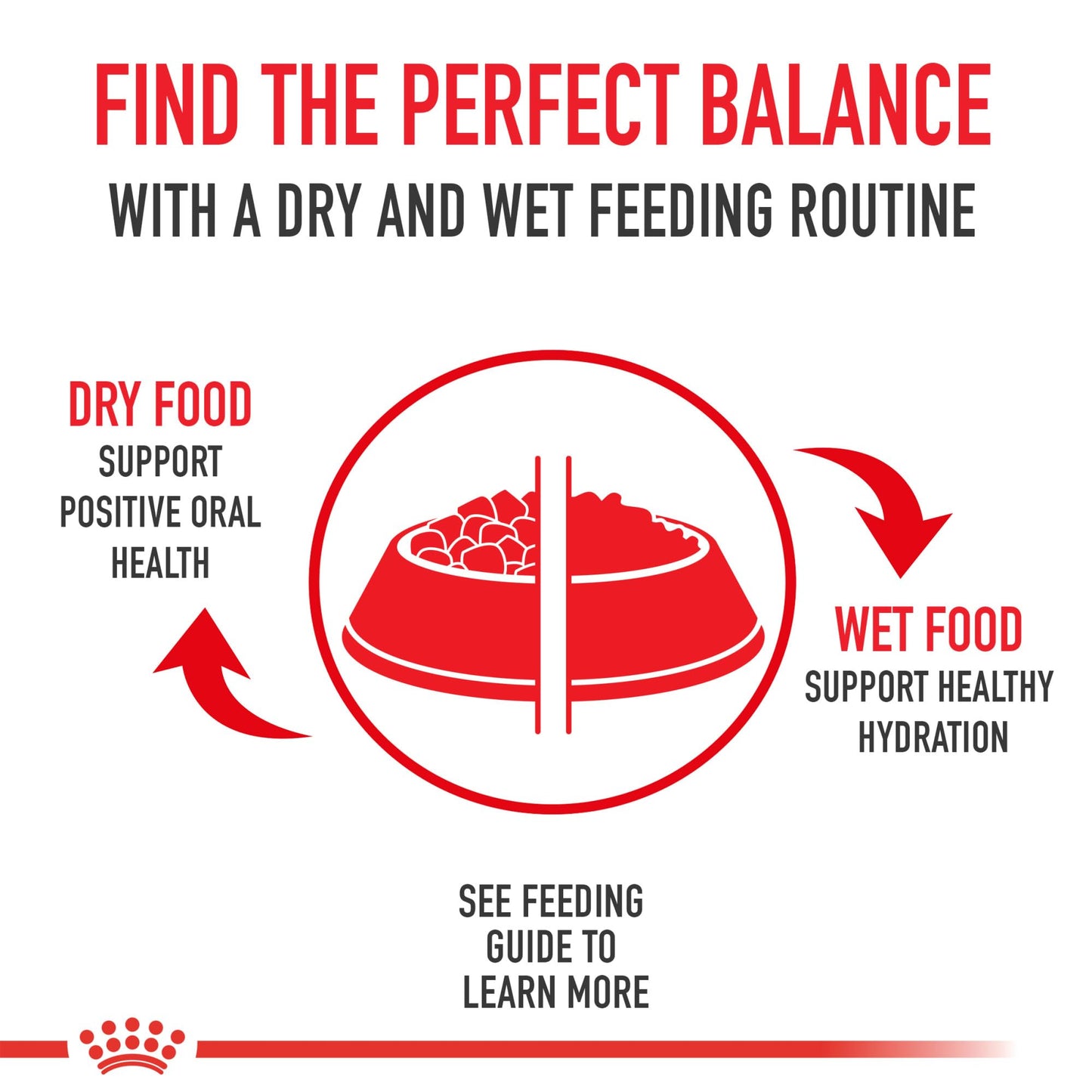 Royal Canin Appetite Control Spayed/Neutered 12+ Dry Adult Cat Food, 7 lb Bag 🍁 All In One Marketplace Canada