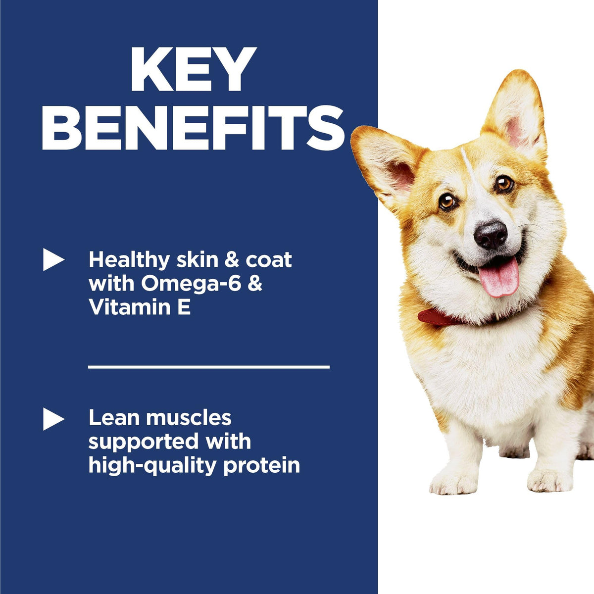 Hill's Science Diet Adult Small Bites Chicken & Barley Recipe Dry Dog Food 6.8 kg Bag 🍁 All In One Marketplace Canada