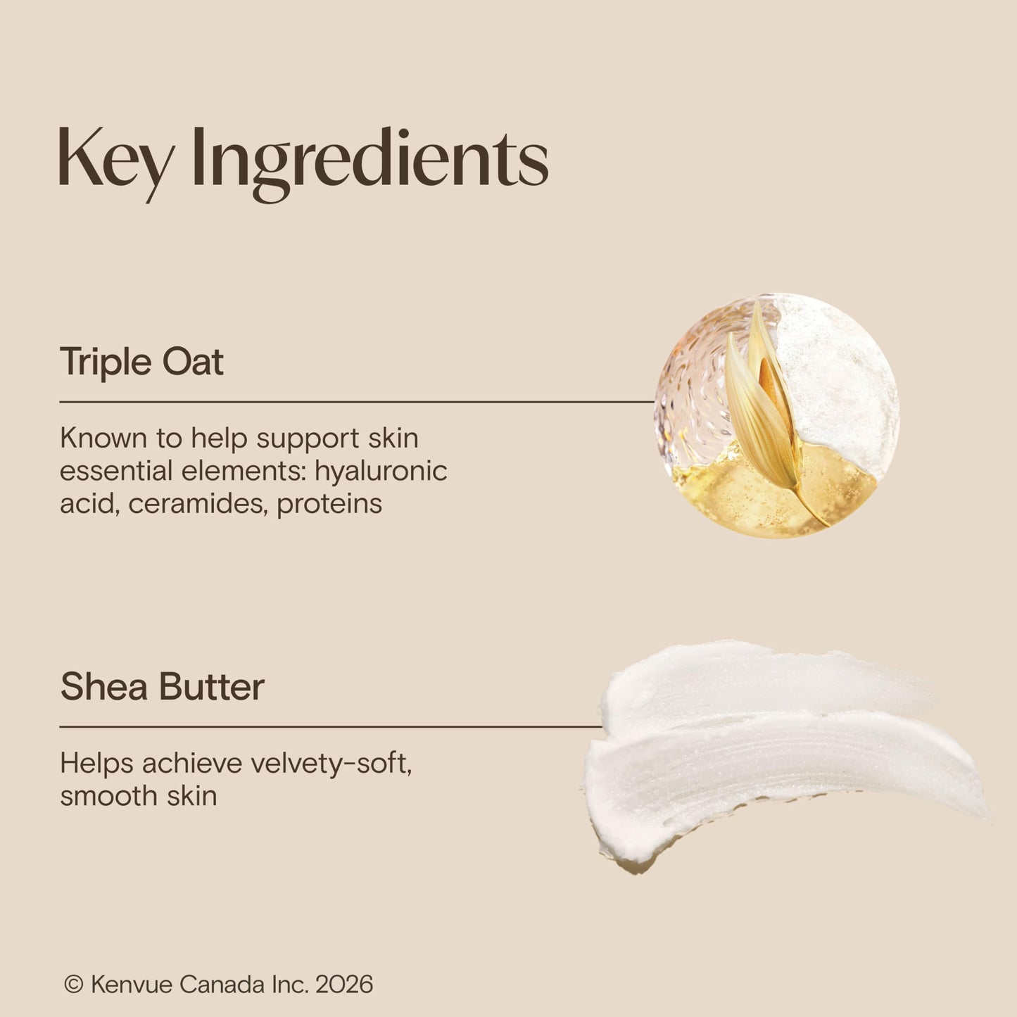 Aveeno Skin Relief Moisturizing Body Lotion Heals Very Dry, Sensitive Skin, fast absorbing Lotion with Soothing Triple Oat & Shea Butter Formula, Fragrance Free Lotion, Non-Comedogenic, 975mL 🍁 All In One Marketplace Canada