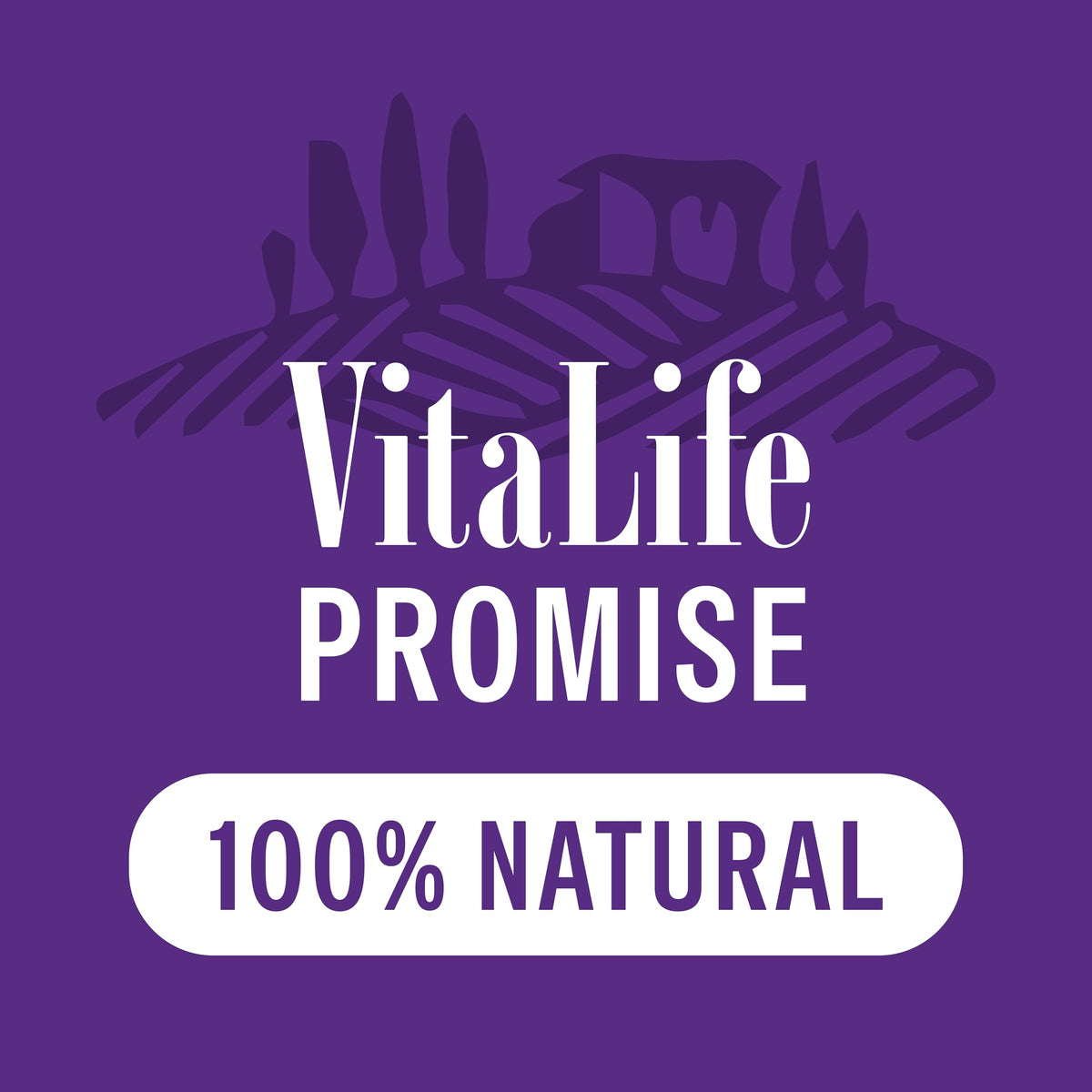 VitaLife 750 g Sweet Potato & Duck Twists, All Natural Dog Treats 🍁 All In One Marketplace Canada