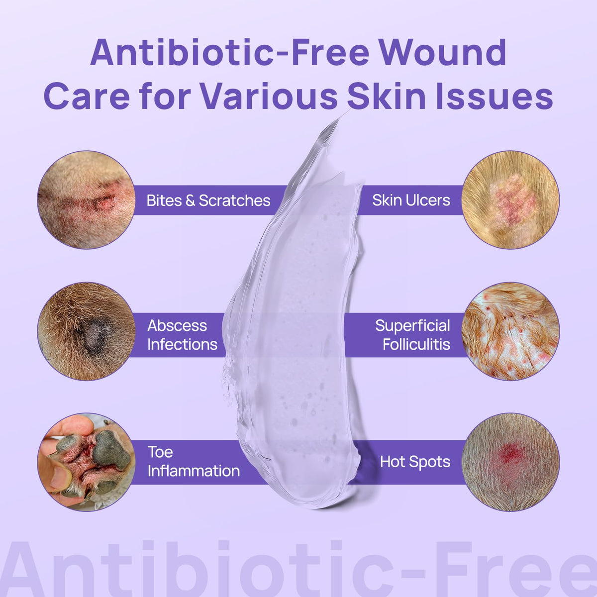 HICC PET Dog Wound Care Hydro Gel, Hot Spot Treatment for Dogs, Soothes Inflammation, Prevents Infection, Treats Bites & Scratches, Cat Wound Care Solution, Small Animal Health Supplies, 100ml 🍁 All In One Marketplace Canada