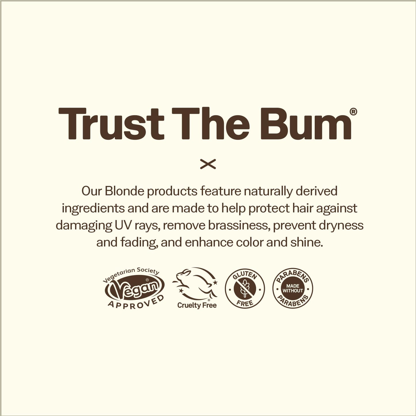 Sun Bum Blonde Formula Hair Lightener, Hair Highlighting Spray, Paraben Free, Gluten Free, 118 mL Spray Bottle, 1 Count 🍁 All In One Marketplace Canada