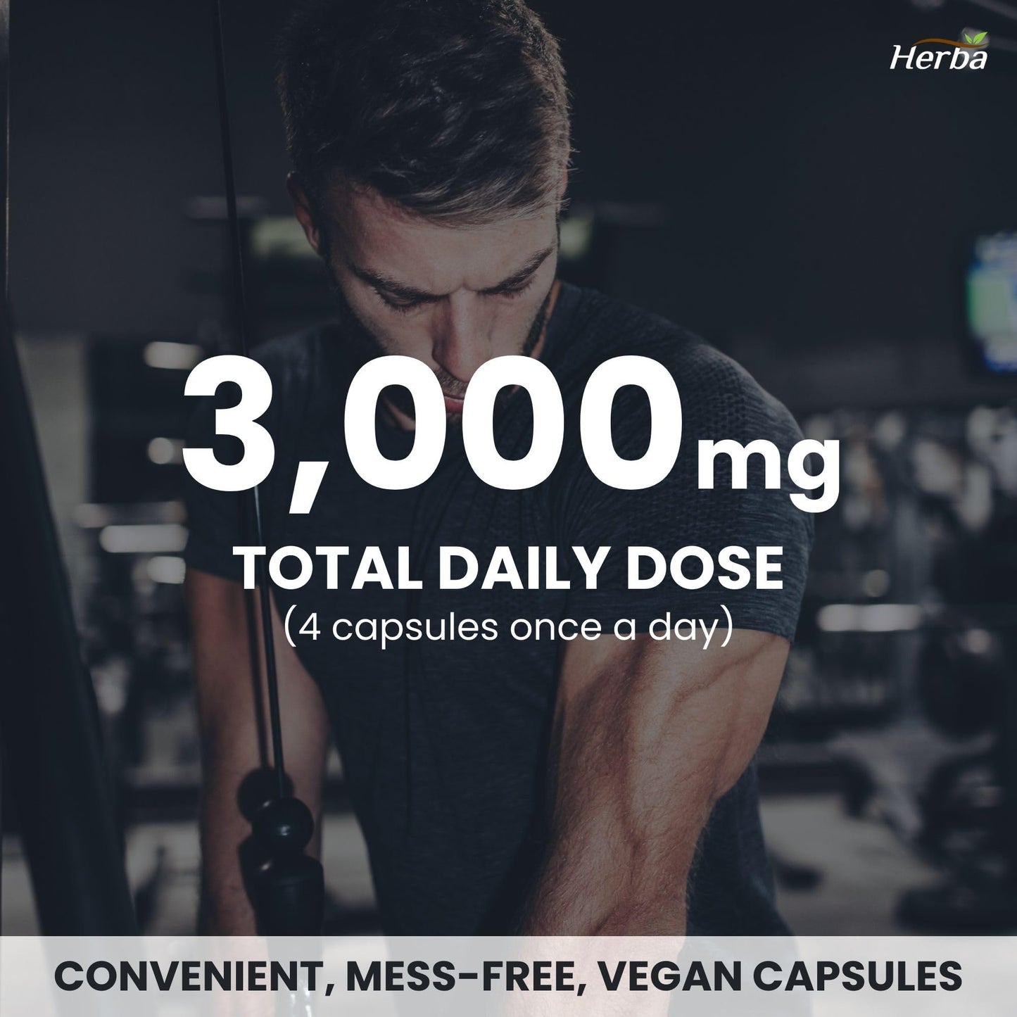 Herba L-Citrulline Capsules 750mg – 180 Capsules | 3,000mg Per Serving | Ultra Pure >98% | L Citrulline Nitric Oxide Supplement | Made & 3rd Party Tested in Canada 🍁 All In One Marketplace Canada