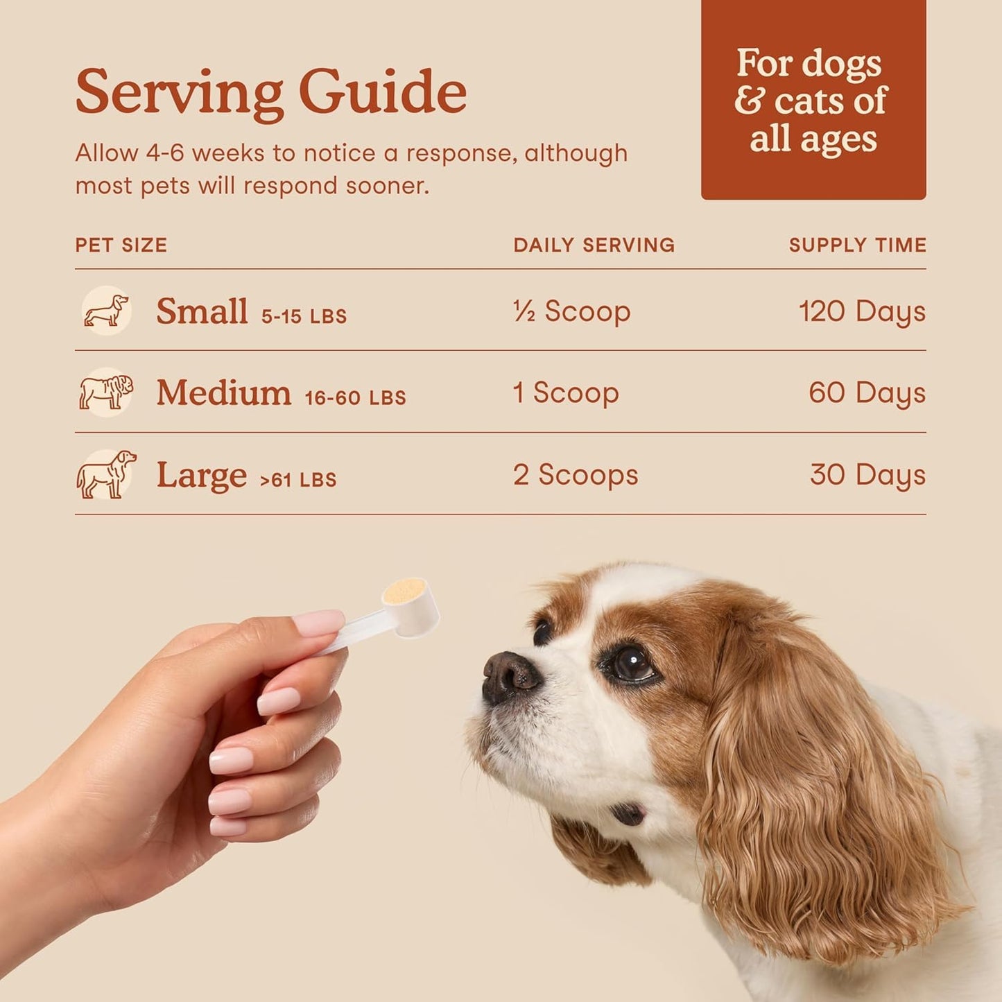 Fera Pets Probiotics for Dogs & Cats with Prebiotics - USDA Organic - Gut Health Powder Supplement with 12 Strains and 5 Billion CFUs - Supports Immunity, Energy and Skin & Coat - 60 Scoops 🍁 All In One Marketplace Canada