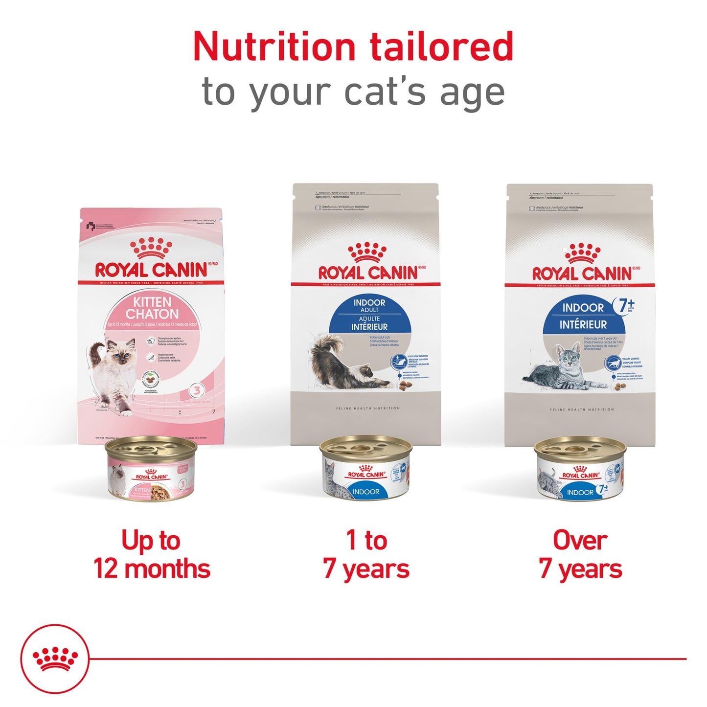 Royal Canin Feline Health Nutrition Dry Indoor Cat Food, Supports Healthy Weight, Digestive Health and Hairball Management, 3 lb Bag 🍁 All In One Marketplace Canada