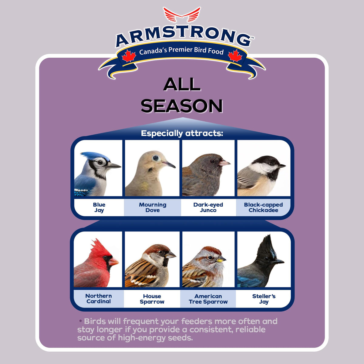 Armstrong All Season Blend, Premium Wild Bird Seed Mix, 4KG (8.8LB) Bag 🍁 All In One Marketplace Canada